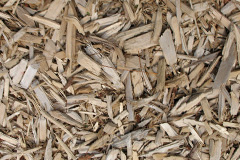 biomass boilers Dail Beag