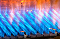 Dail Beag gas fired boilers
